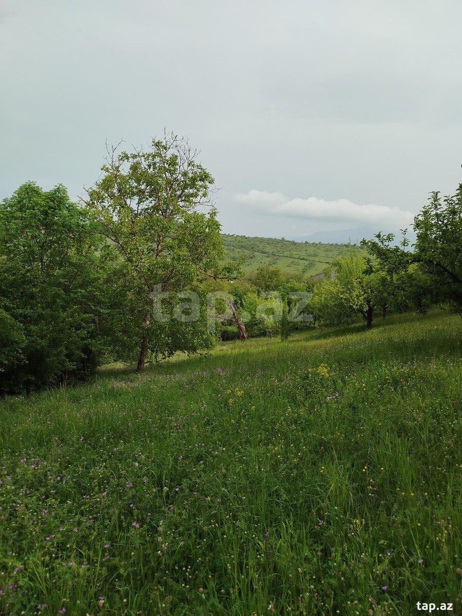 Həyət evi, Quba r.