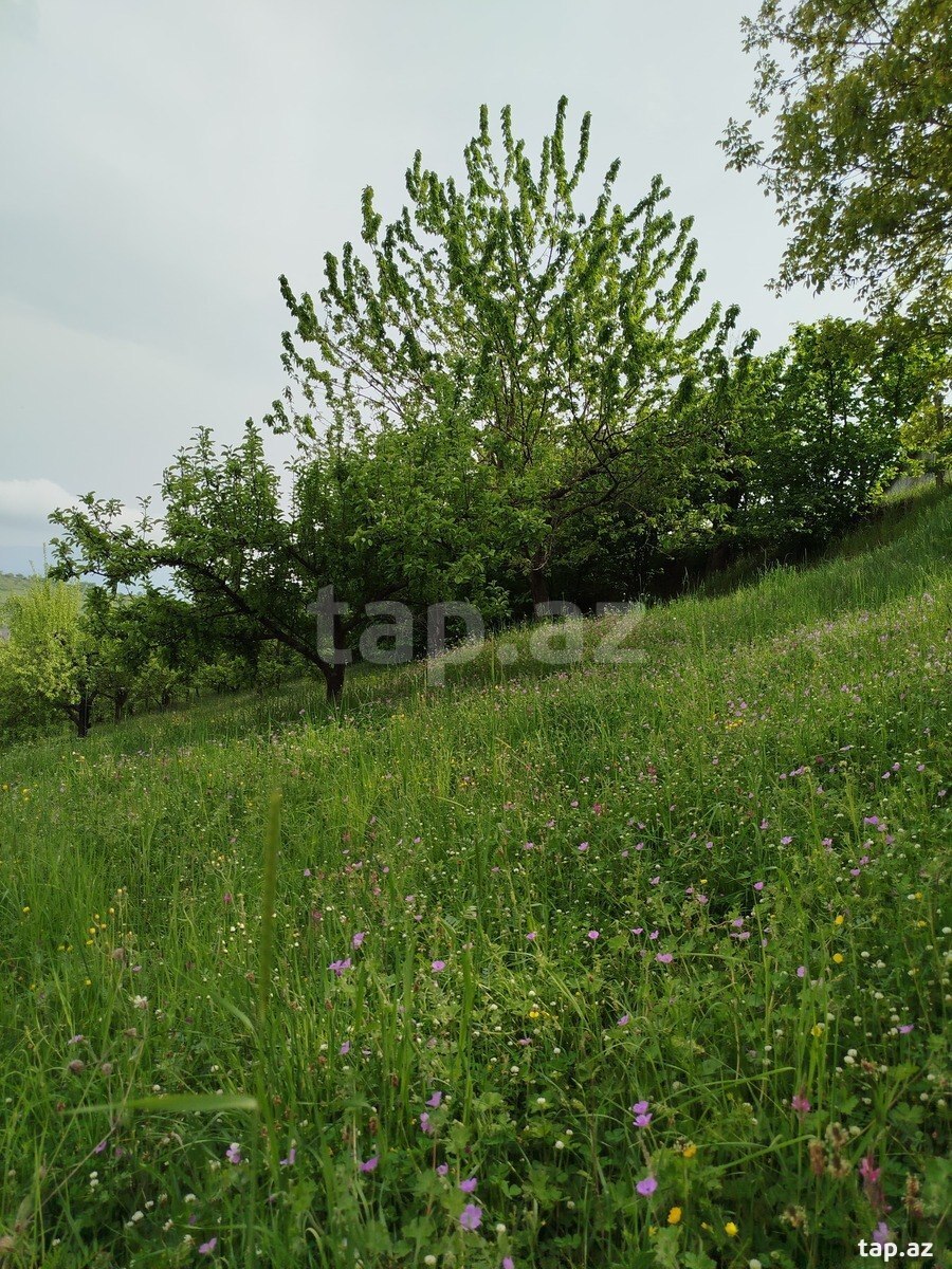 Həyət evi, Quba r.