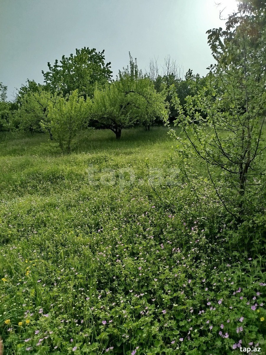 Həyət evi, Quba r.