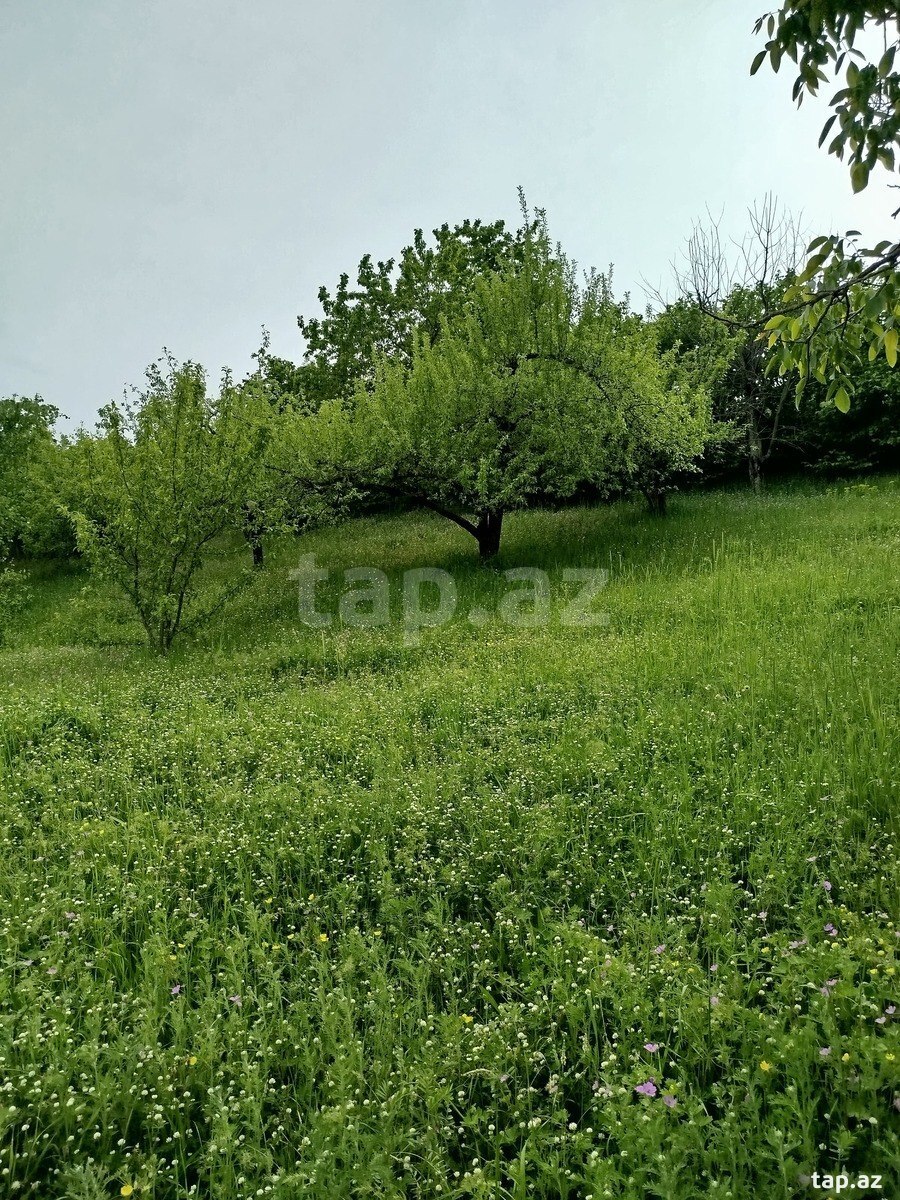 Həyət evi, Quba r.