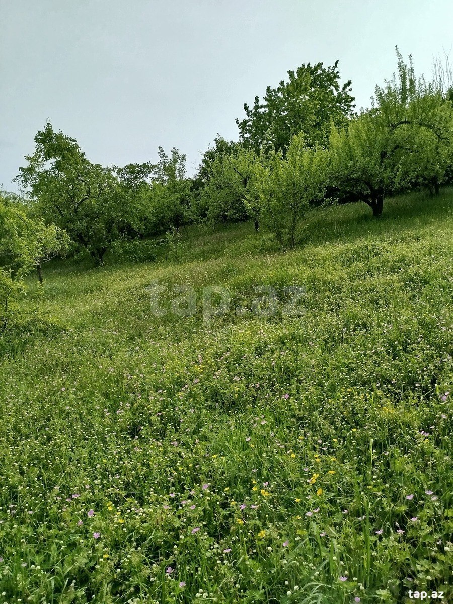 Həyət evi, Quba r.