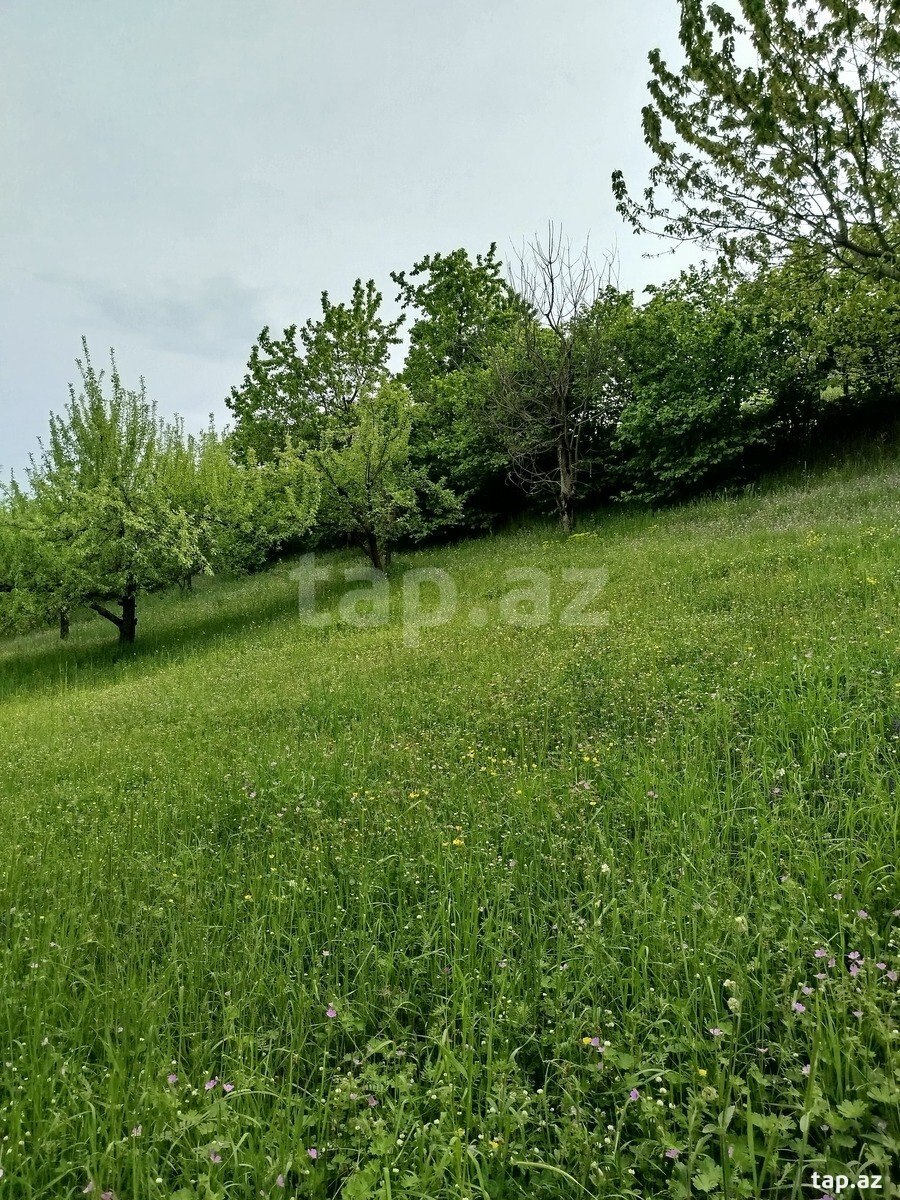 Həyət evi, Quba r.