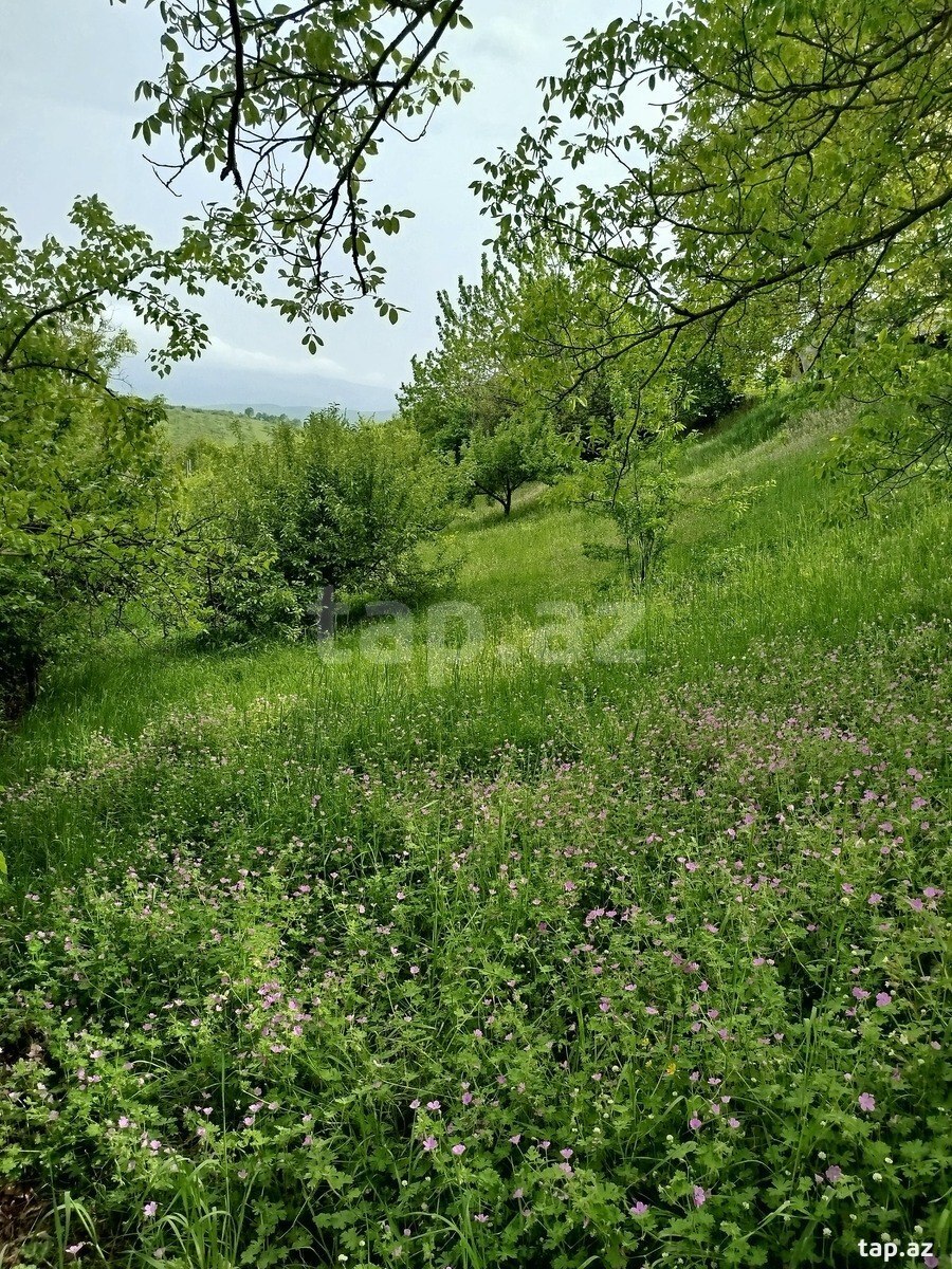 Həyət evi, Quba r.