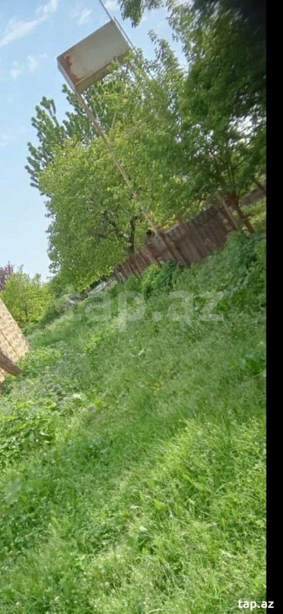 80 sot torpaq sahəsi, Balakən r. (4)