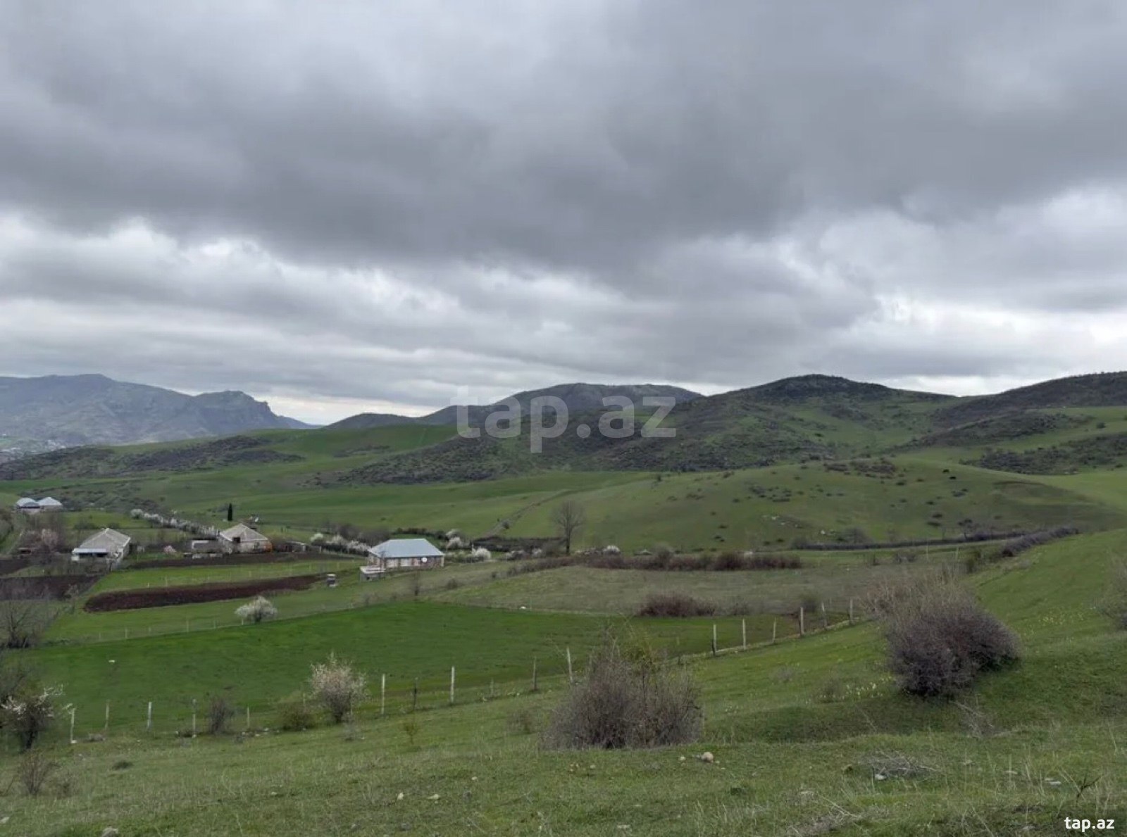 20 sot torpaq sahəsi, Tovuz r.