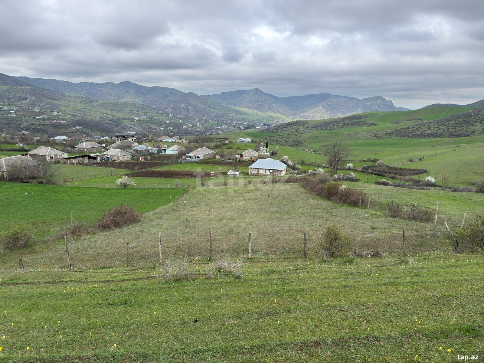 20 sot torpaq sahəsi, Tovuz r. (5)