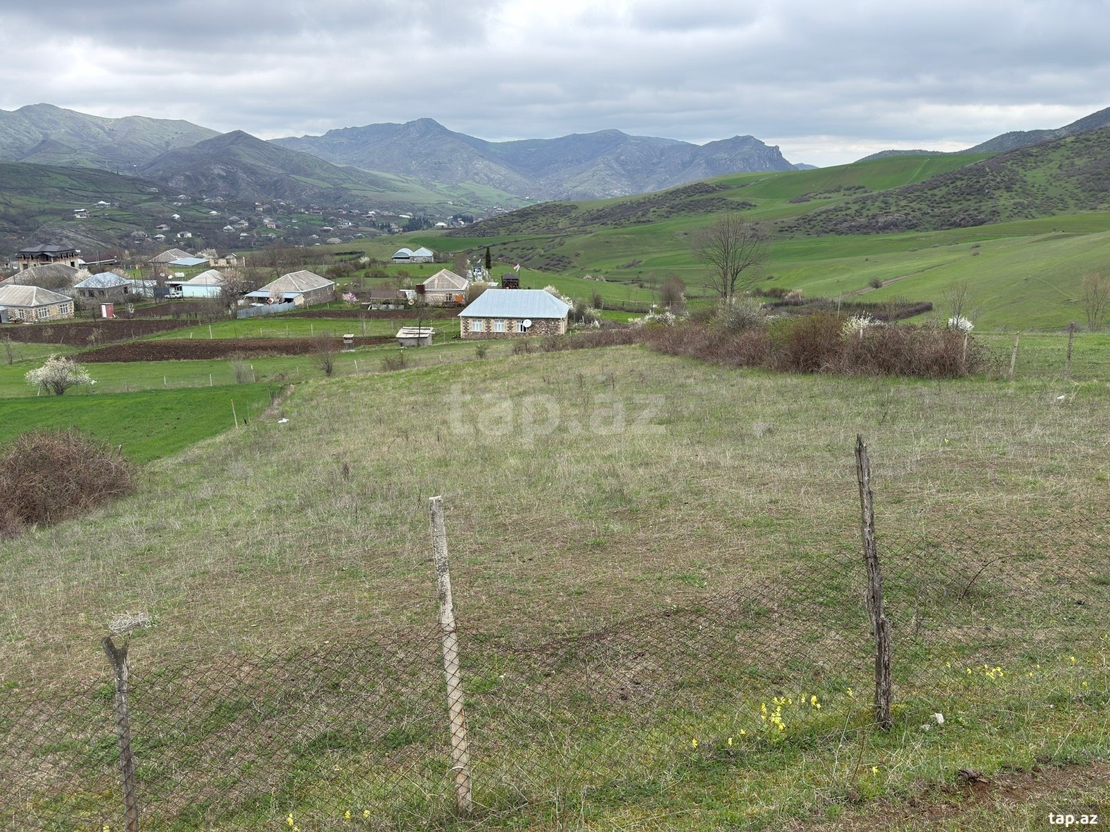 20 sot torpaq sahəsi, Tovuz r. (4)