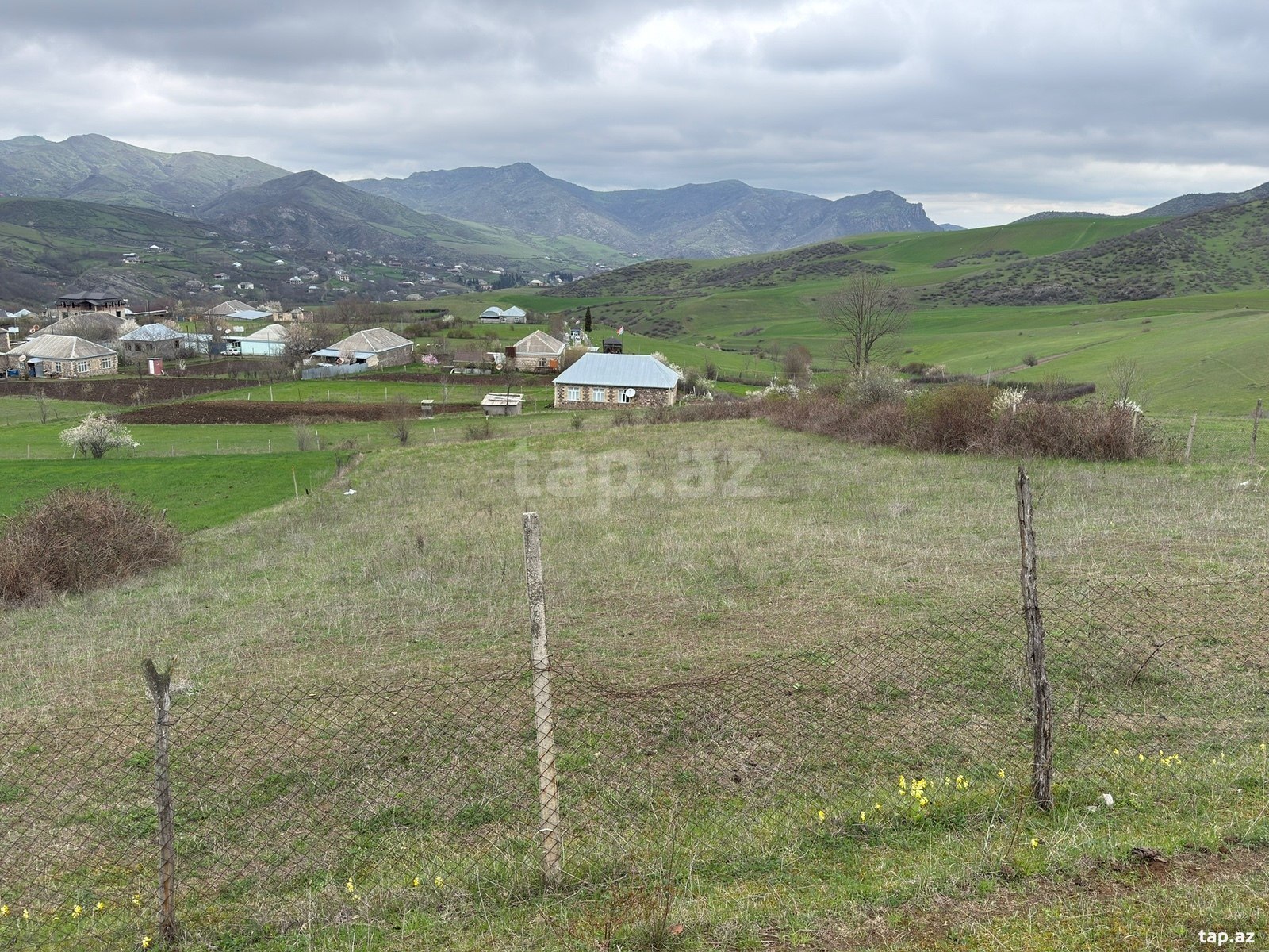 20 sot torpaq sahəsi, Tovuz r. (3)