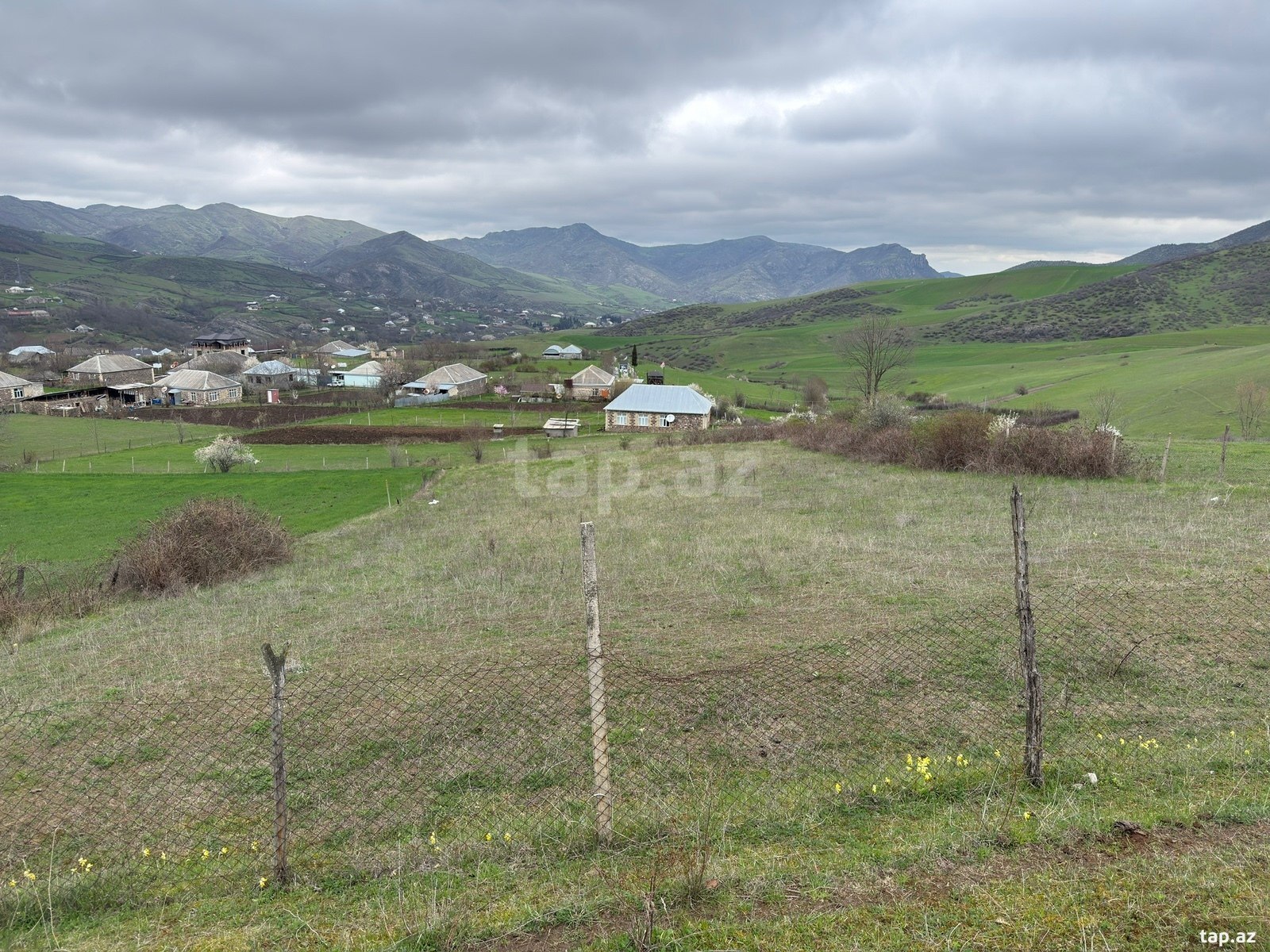 20 sot torpaq sahəsi, Tovuz r. (2)