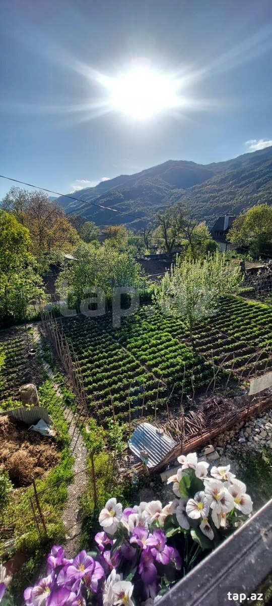 Bağ evi kirayə verilir, Ləhıc qəs. (24)