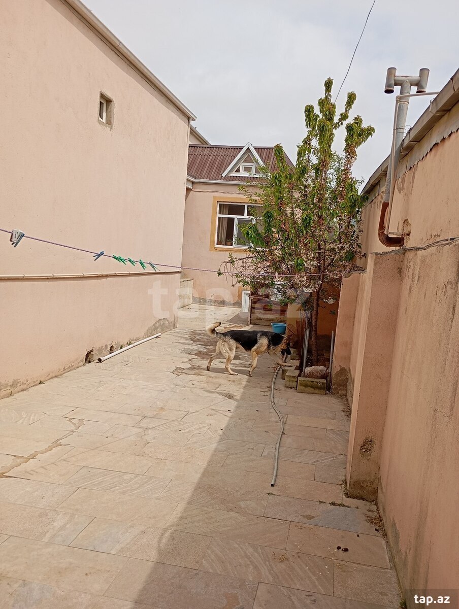 Həyət evi, Binəqədi r. (6)