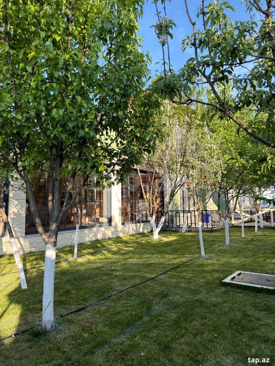 Həyət evi kirayə verilir, İsmayıllı r.  (7)