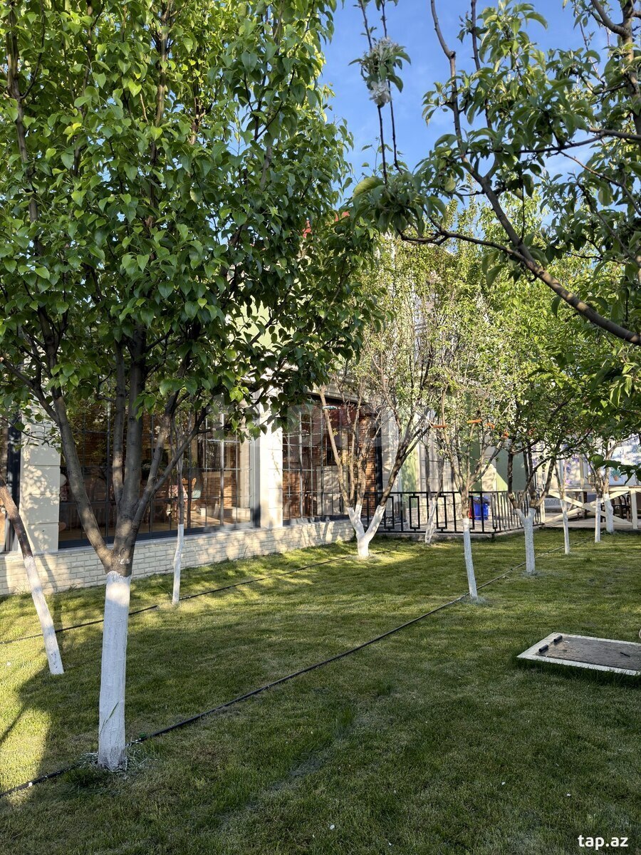 Həyət evi kirayə verilir, İsmayıllı r.  (17)