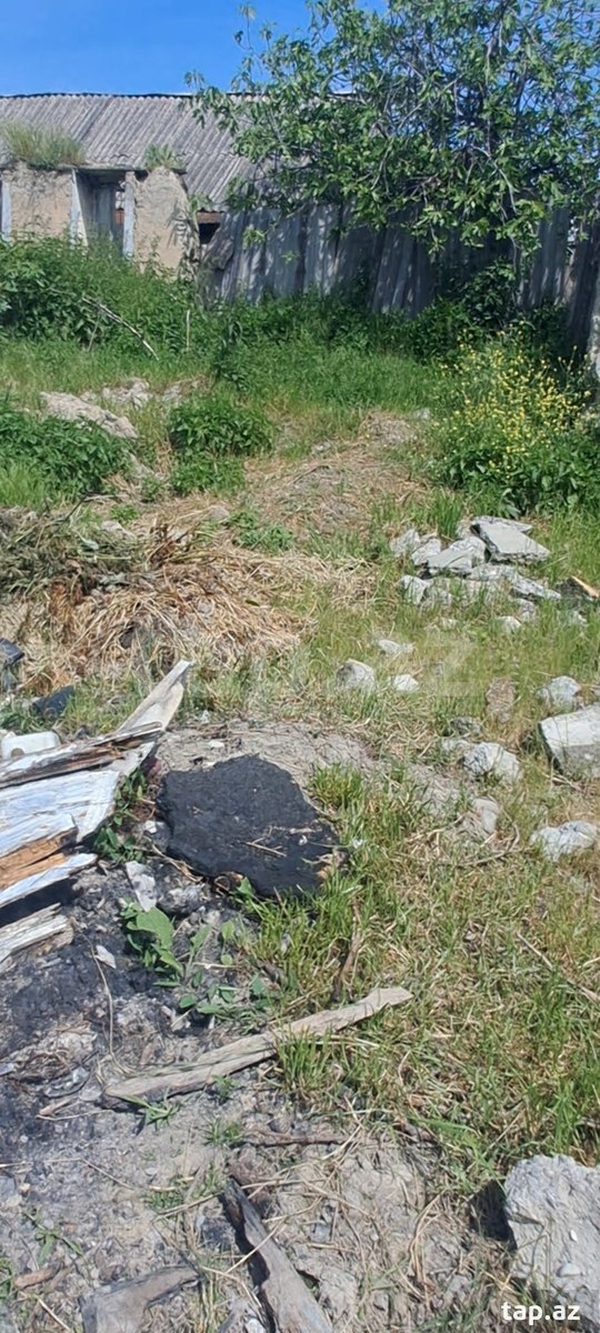 3.7 sot torpaq sahəsi, Şəki ş.