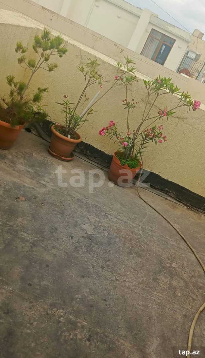 1-otaqlı yeni tikili kirayə verilir, E.Akademiyası m., 30 m² (9)