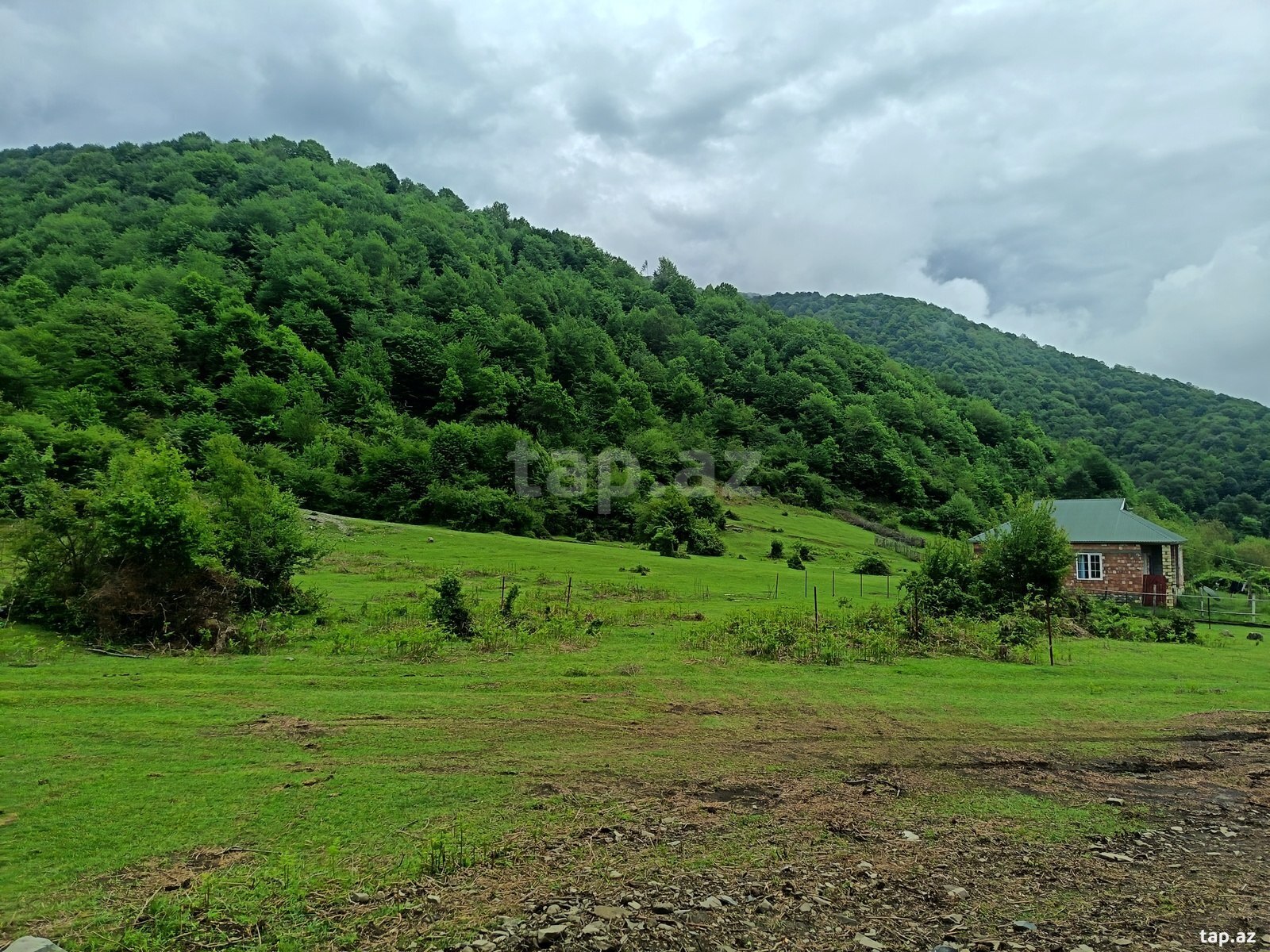 Land for sale, Ismayilli, Ismayilli