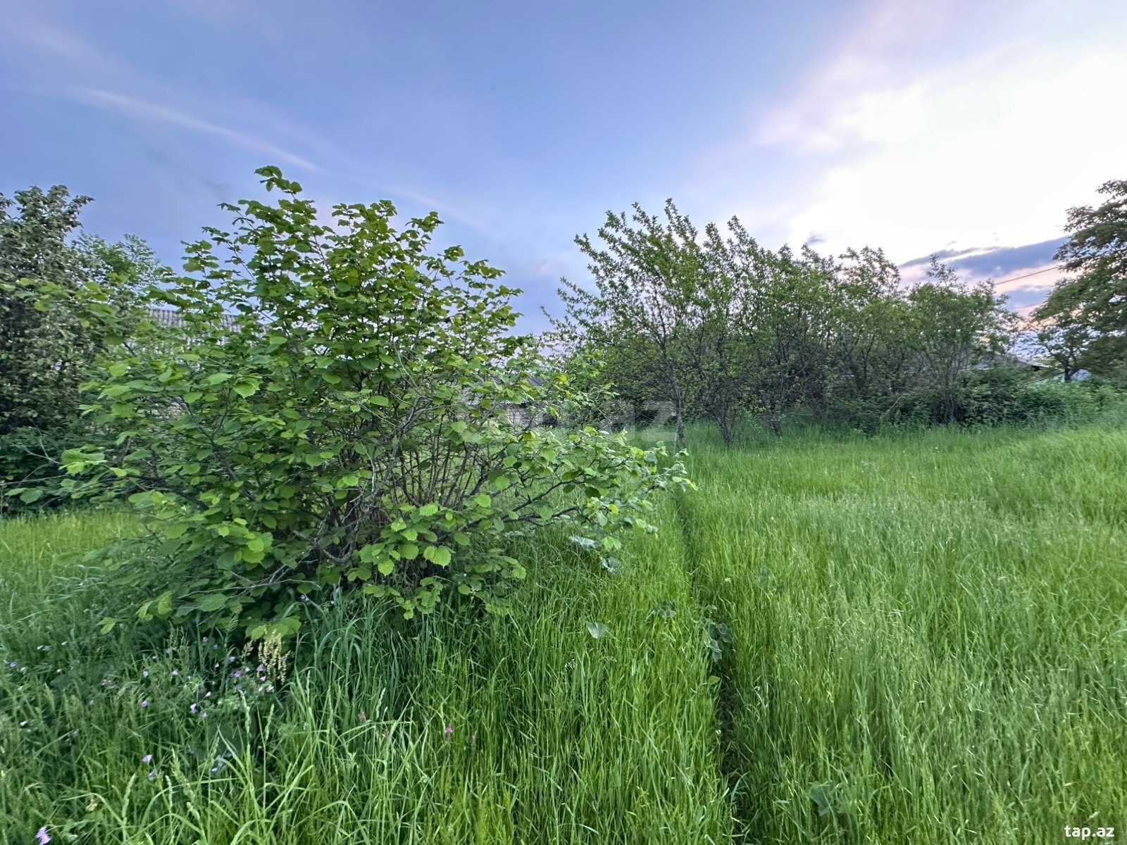 Земельный участок на продажу, Вандам, Габала