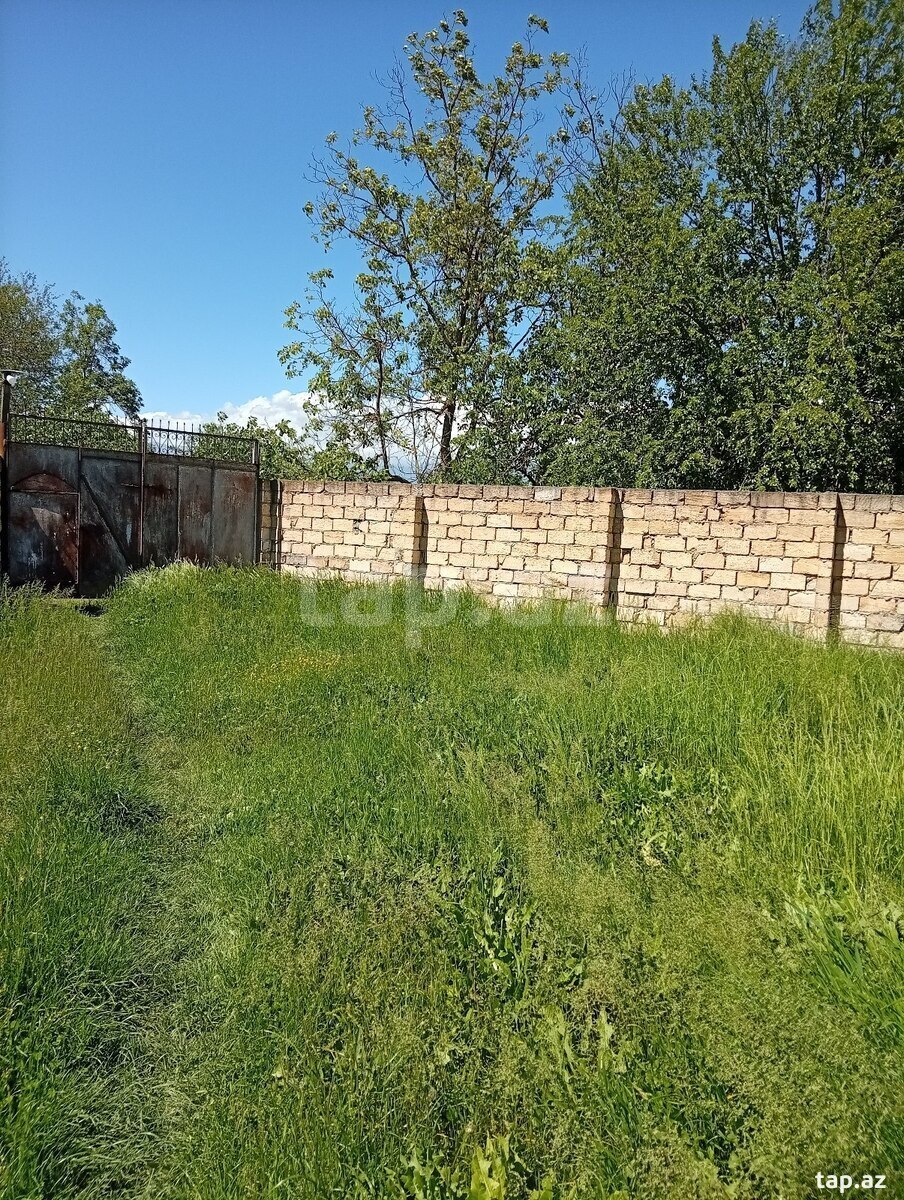 Həyət evi, Oğuz ray.