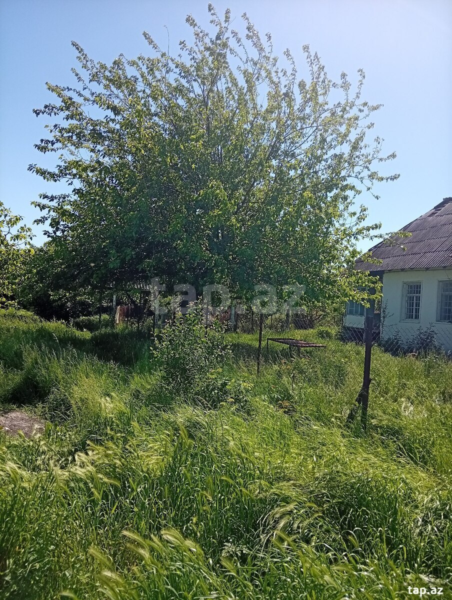 Həyət evi, Oğuz ray.
