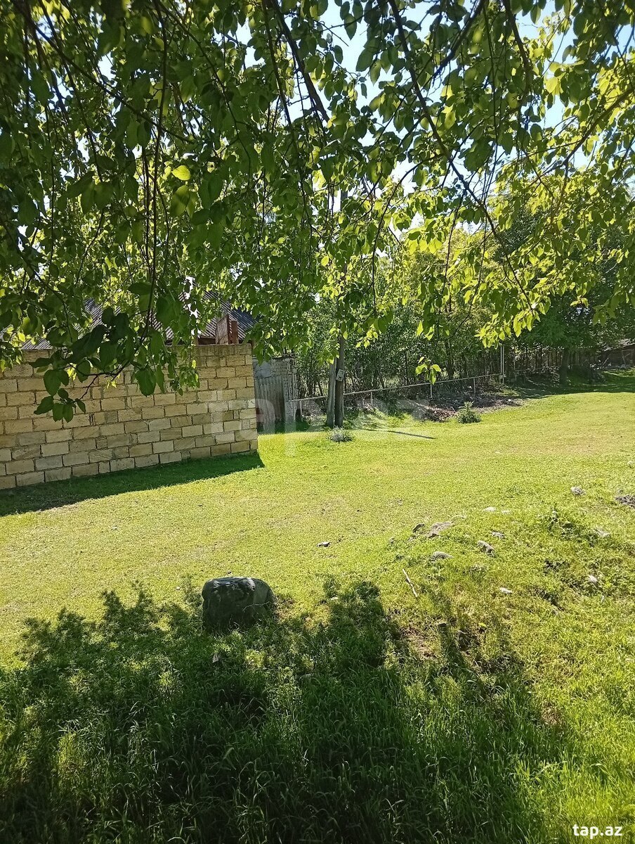 Həyət evi, Oğuz ray.