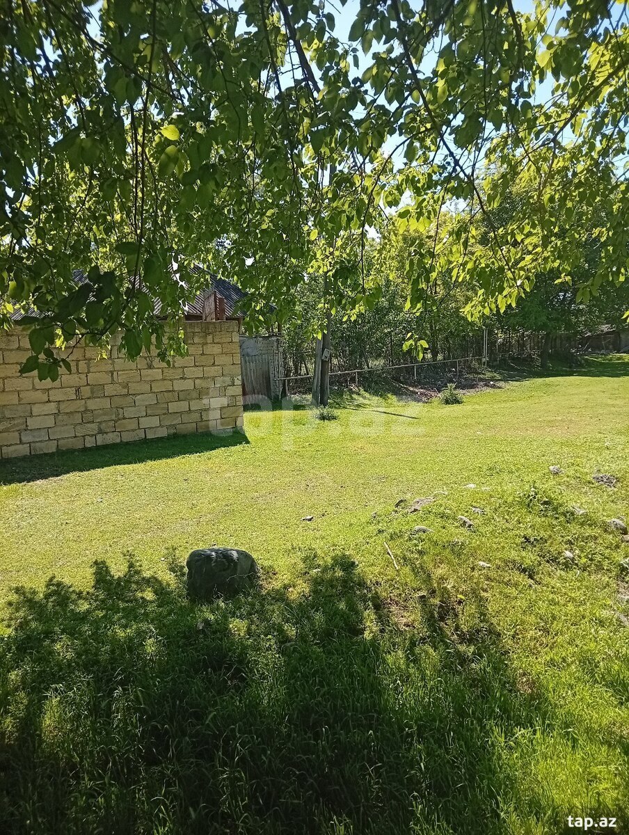 Həyət evi, Oğuz ray.