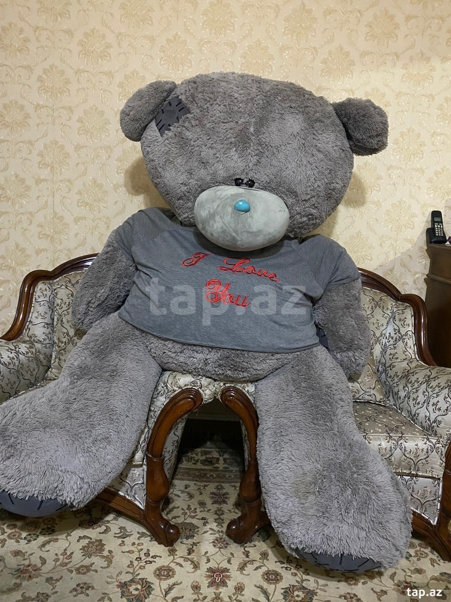 Oyuncaq ayı "Teddy" (2)