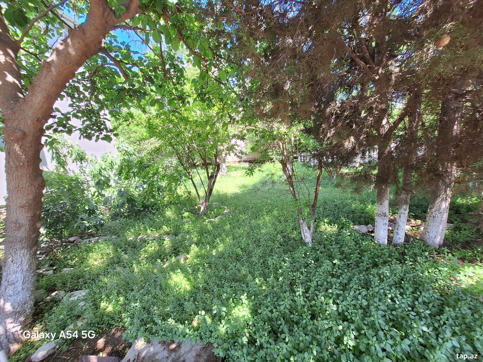 7 sot torpaq sahəsi, Badamdar qəs. (8)