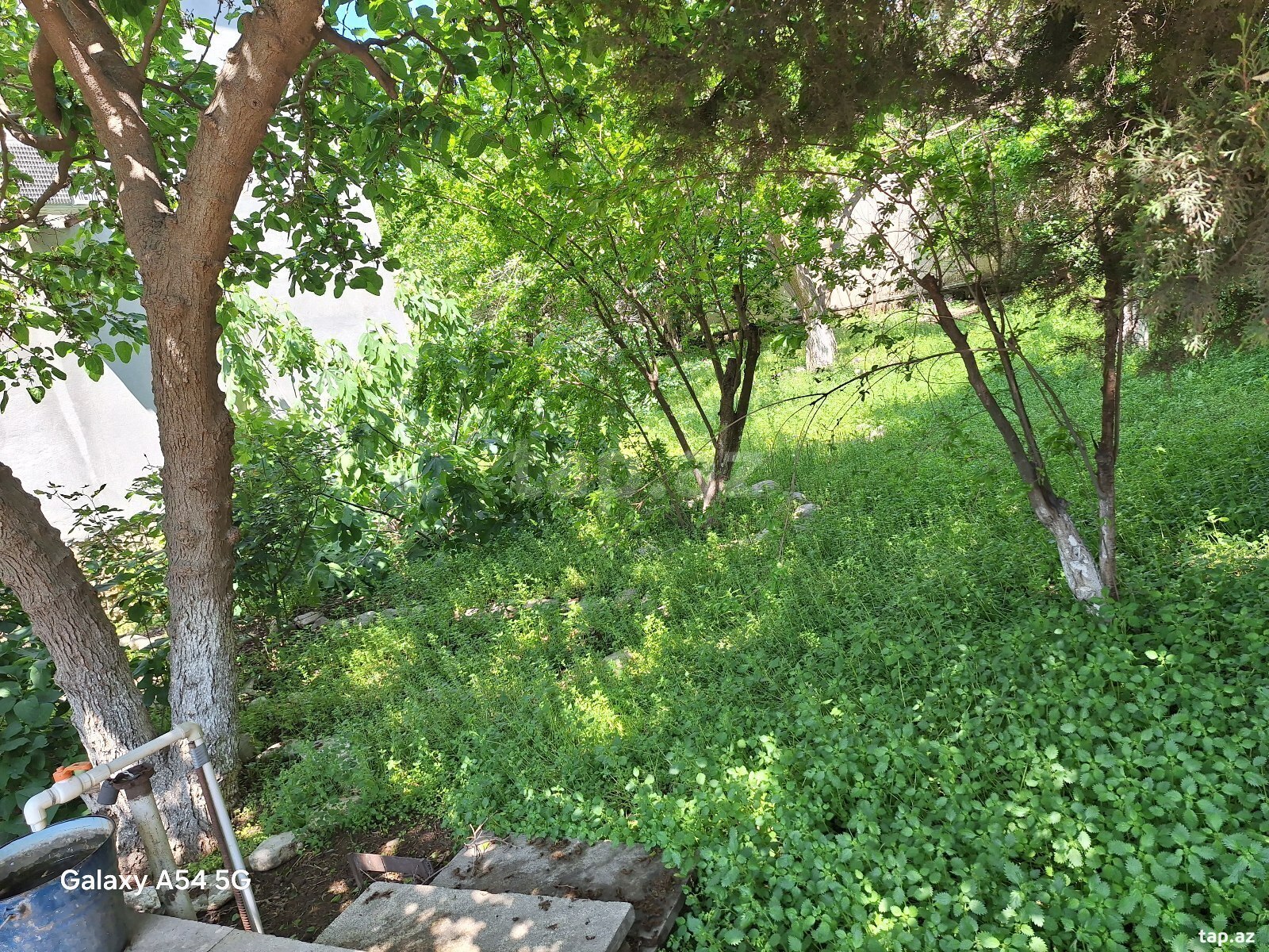 7 sot torpaq sahəsi, Badamdar qəs. (10)