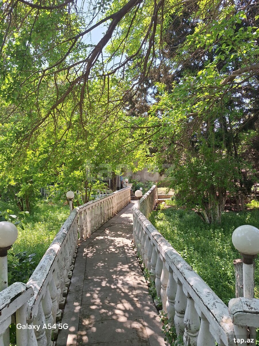 7 sot torpaq sahəsi, Badamdar qəs. (16)