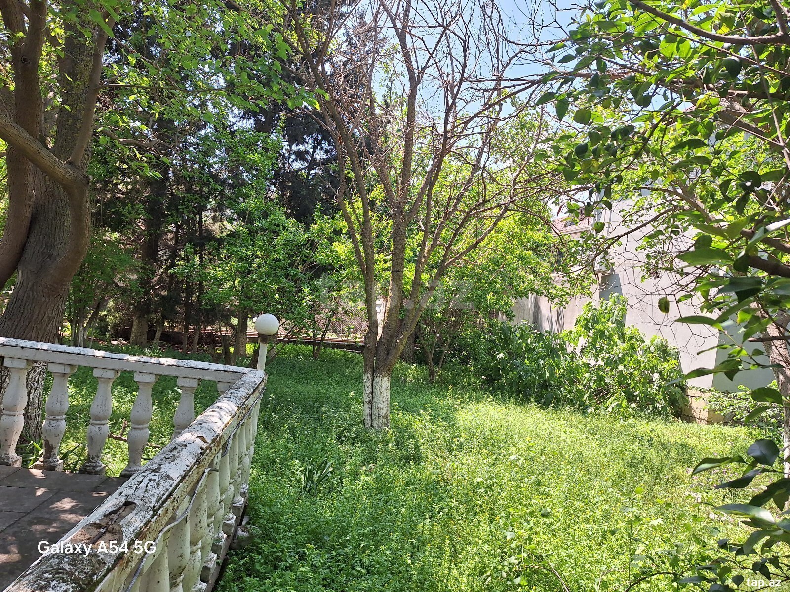 7 sot torpaq sahəsi, Badamdar qəs. (17)