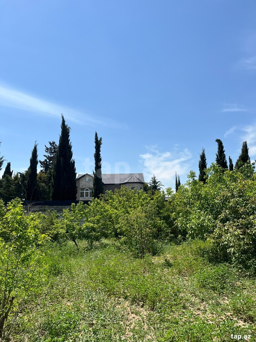 11 sot torpaq sahəsi, Buzovna qəs. (9)