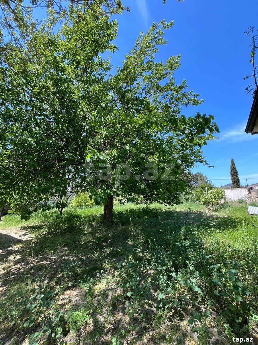 11 sot torpaq sahəsi, Buzovna qəs. (4)