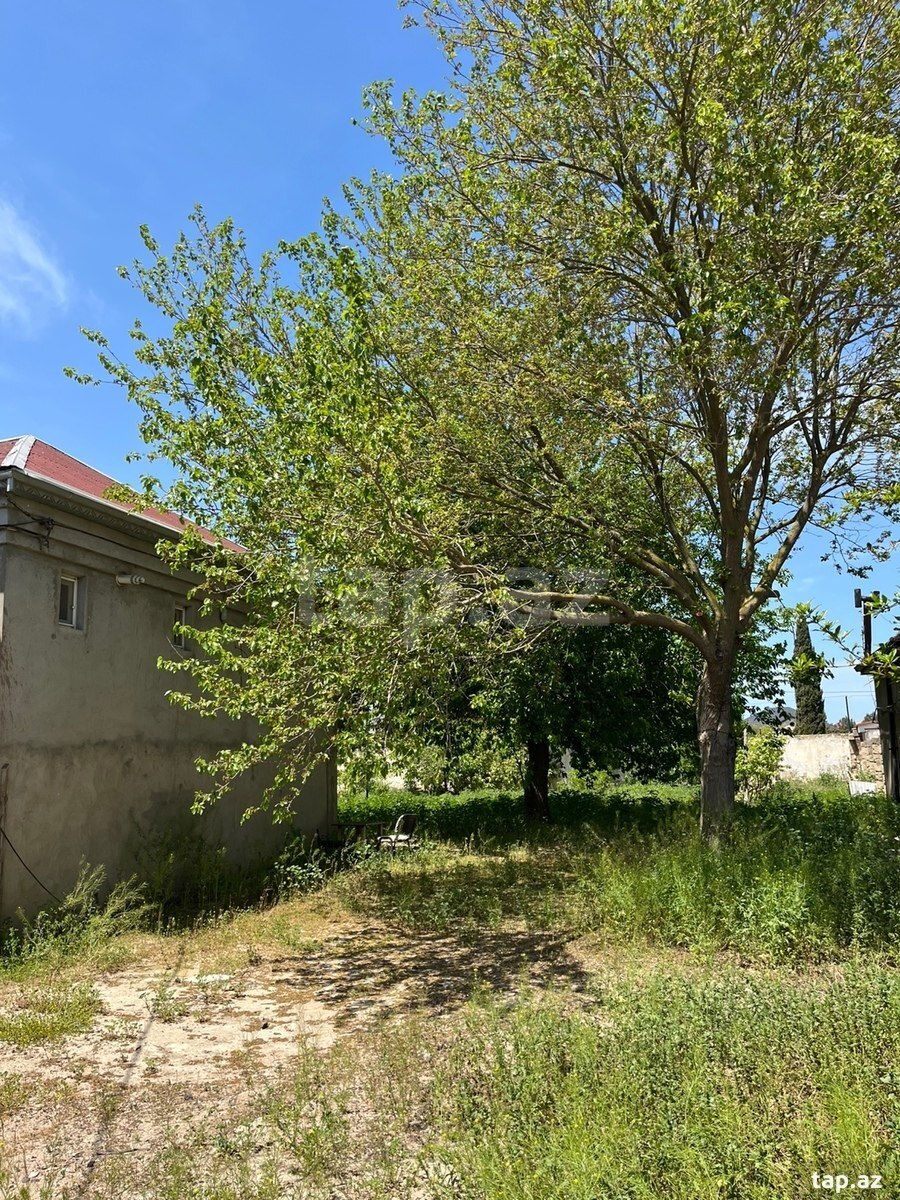 11 sot torpaq sahəsi, Buzovna qəs. (3)