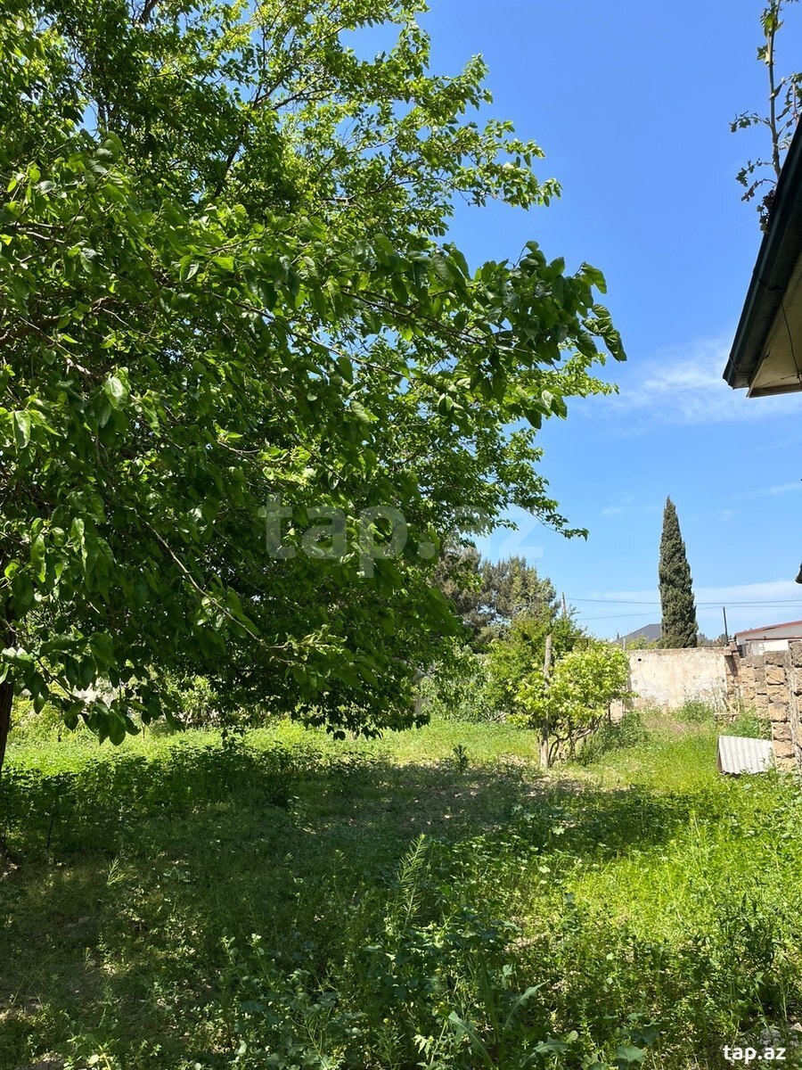 11 sot torpaq sahəsi, Buzovna qəs. (6)