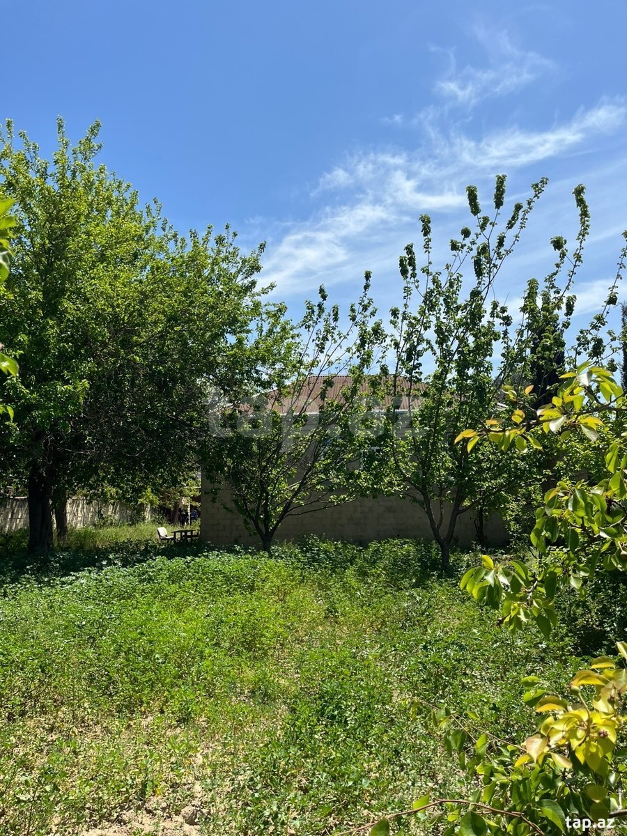11 sot torpaq sahəsi, Buzovna qəs. (11)