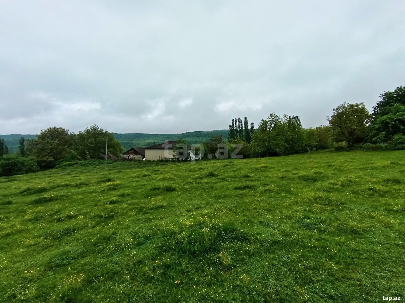 Bağ evi, Qusar r. (8)
