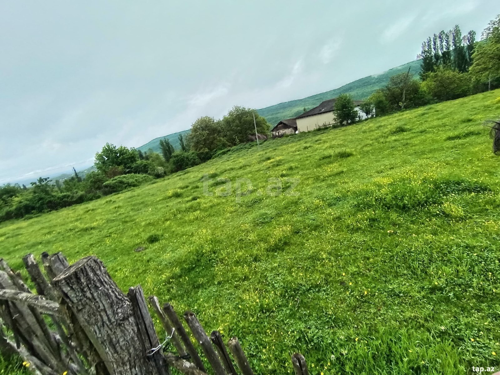 Bağ evi, Qusar r. (9)