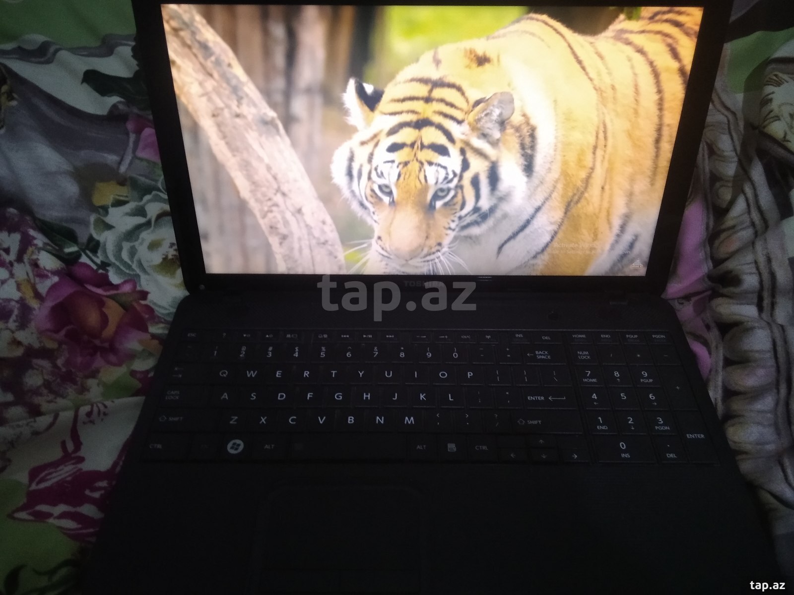 Noutbuk Toshiba i5