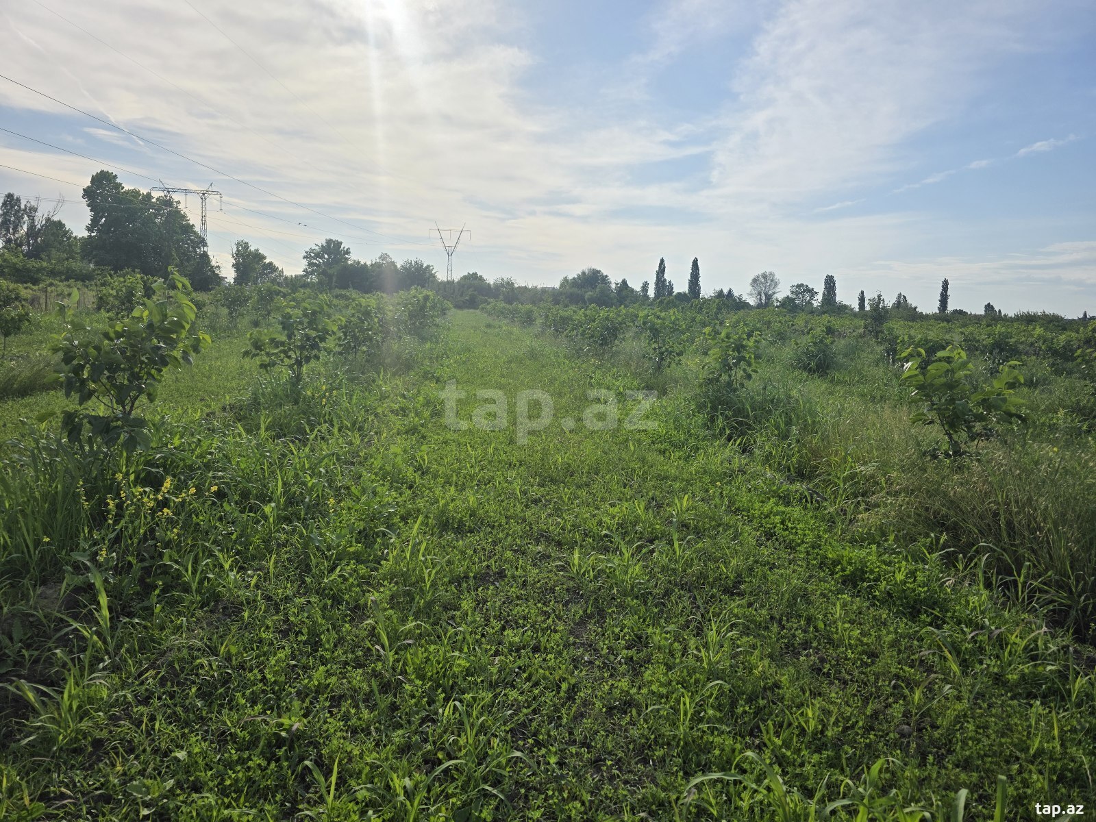 105 sot torpaq sahəsi, Ağdaş r. (4)