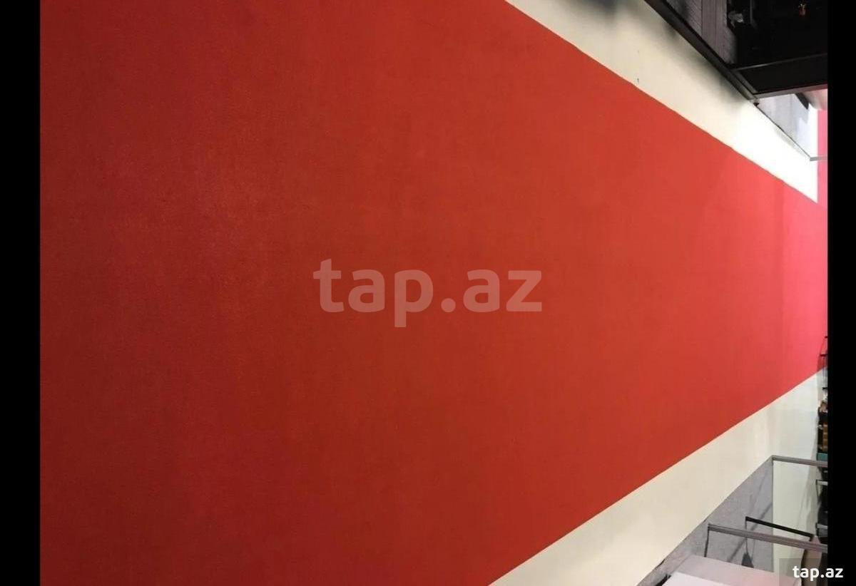 Palazlar 