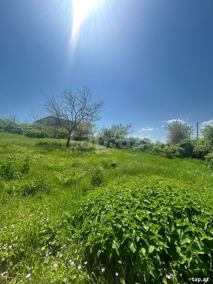 4 sot torpaq sahəsi, Qusar r.