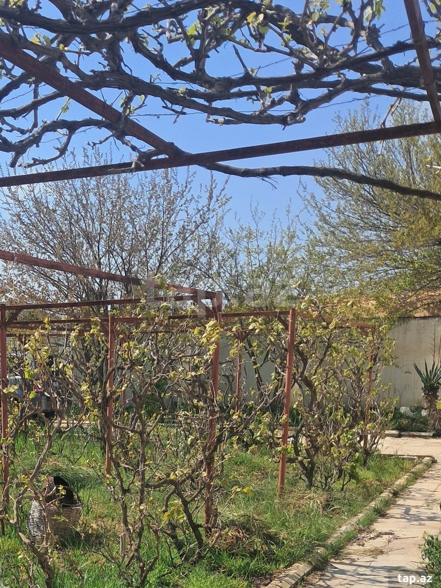 Bağ evi, Nardaran qəs. (12)
