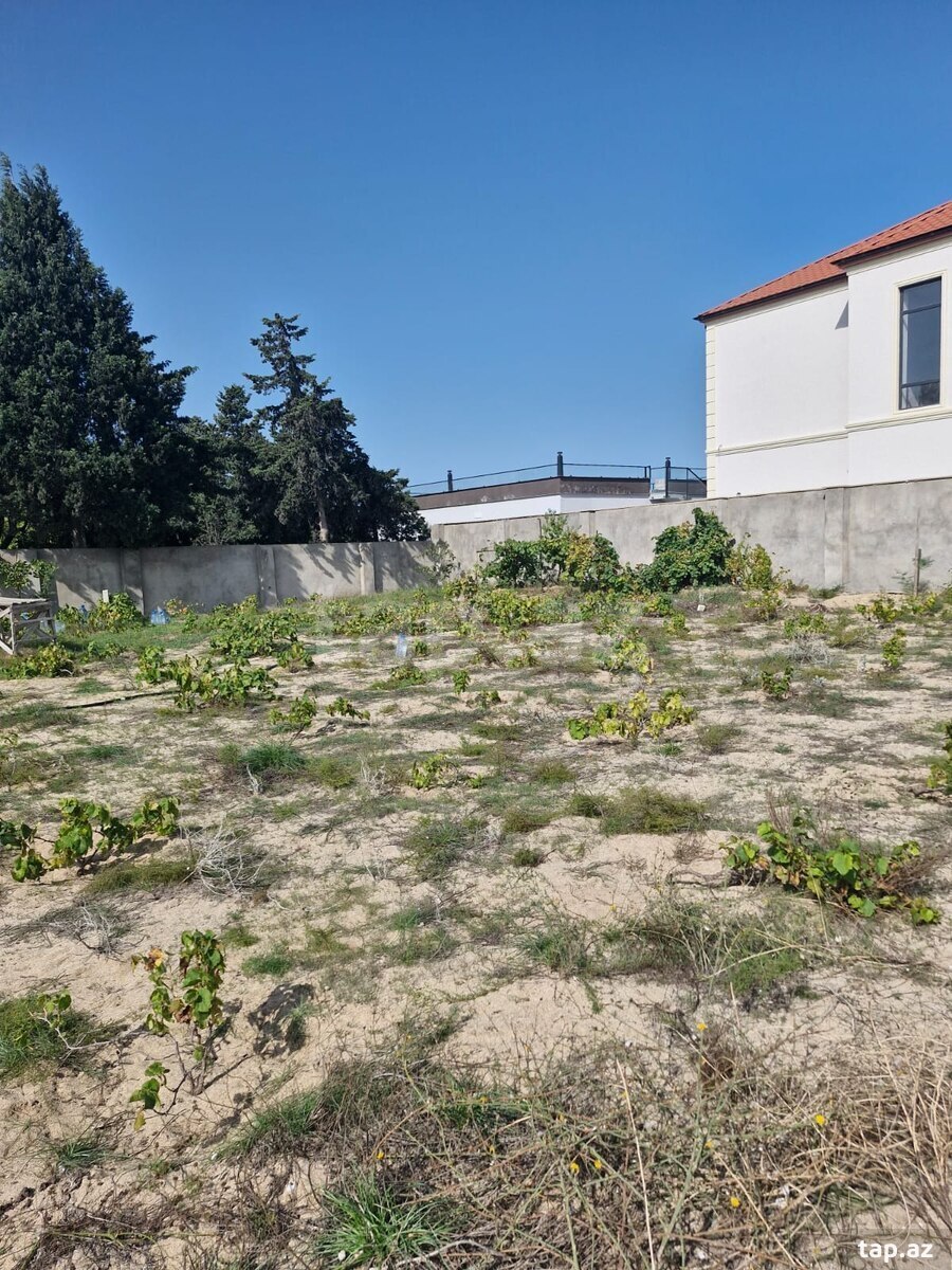 Bağ evi, Pirşağı qəs. (2)