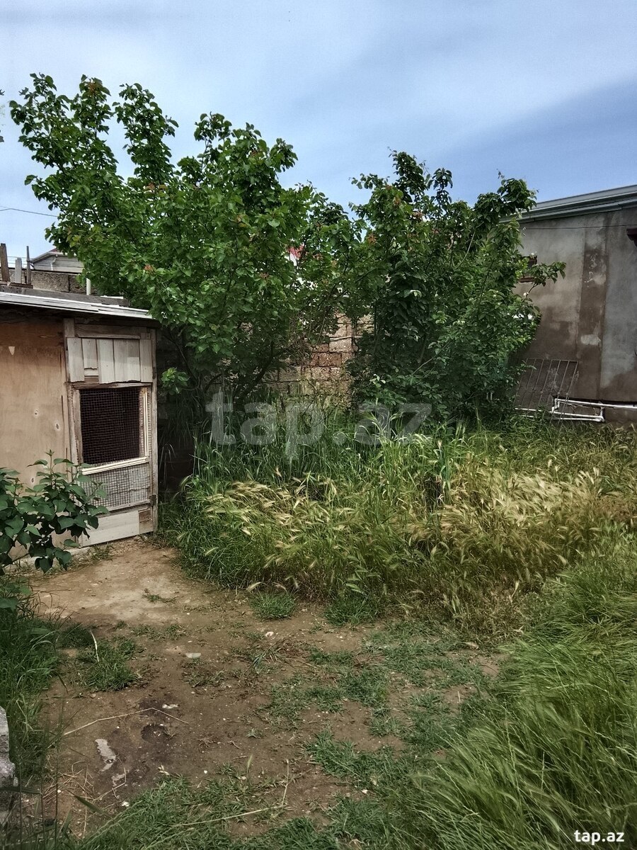 Həyət evi, Ramana qəs. (3)