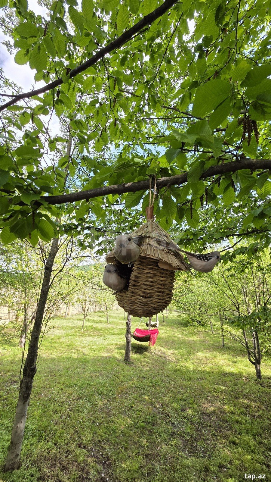 Həyət evi kirayə verilir, Quba r.