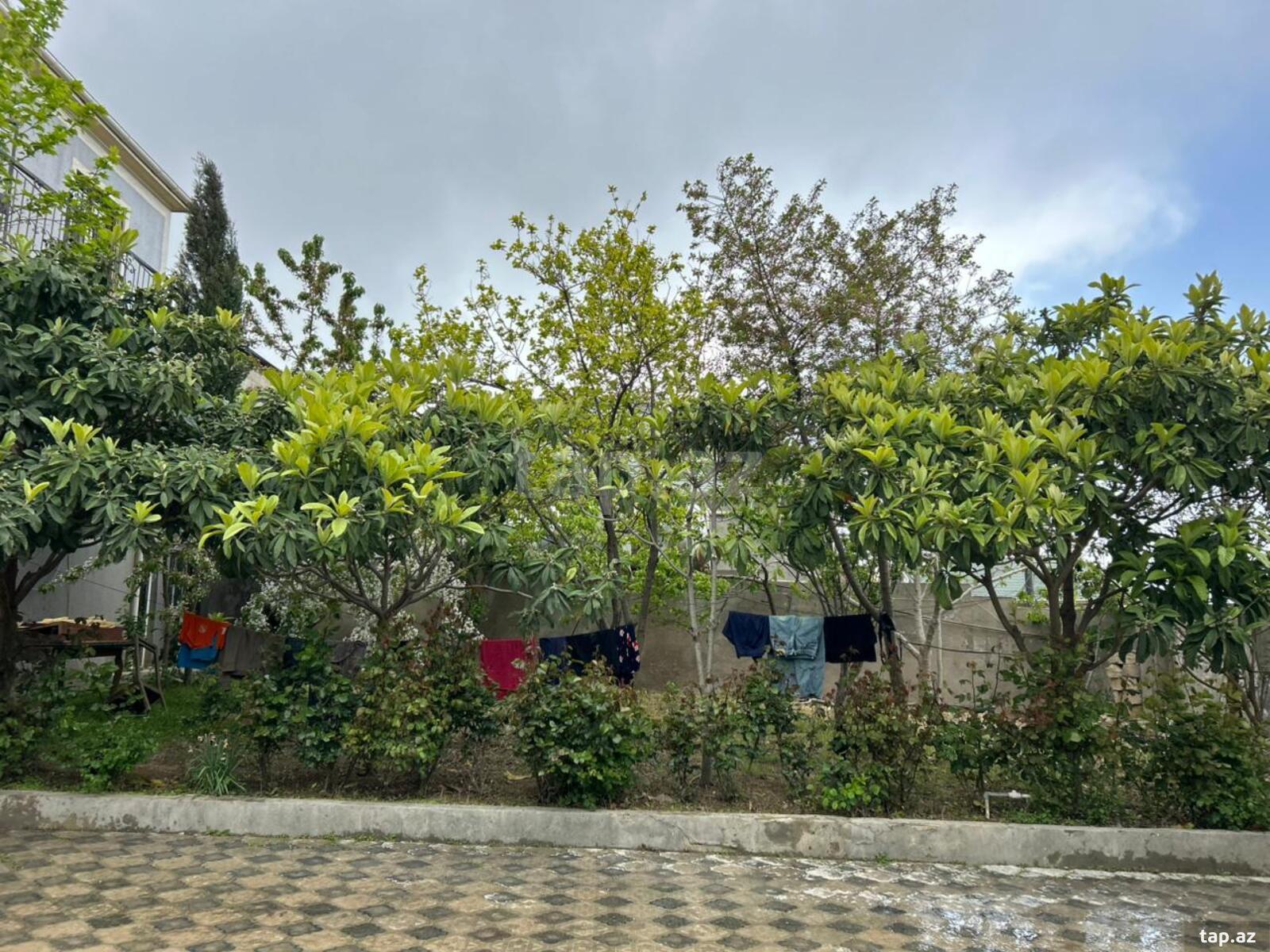 Bağ evi, Masazır qəs. (2)
