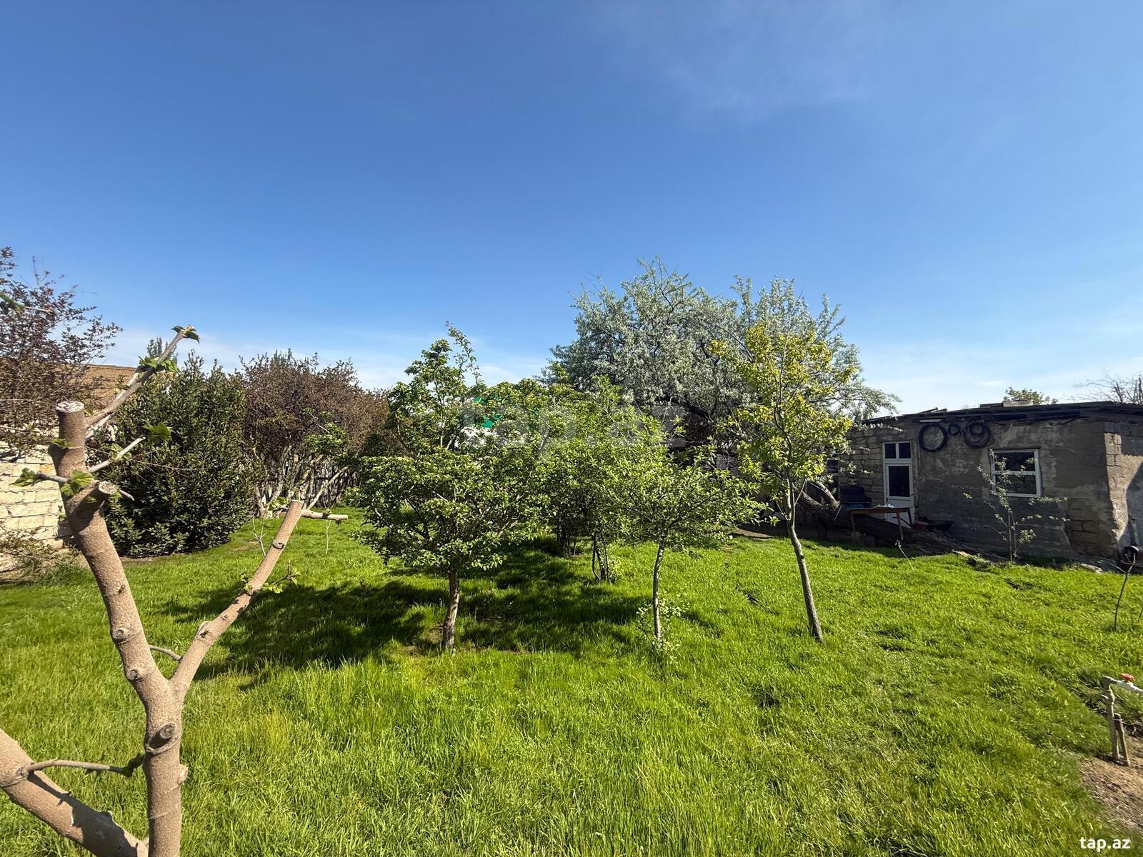 Həyət evi, Maştağa qəs. (4)