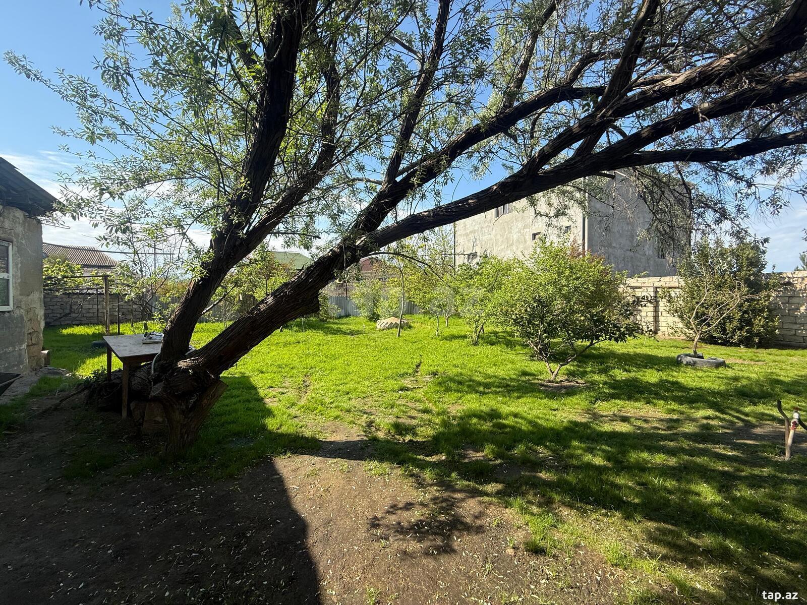 Həyət evi, Maştağa qəs. (6)