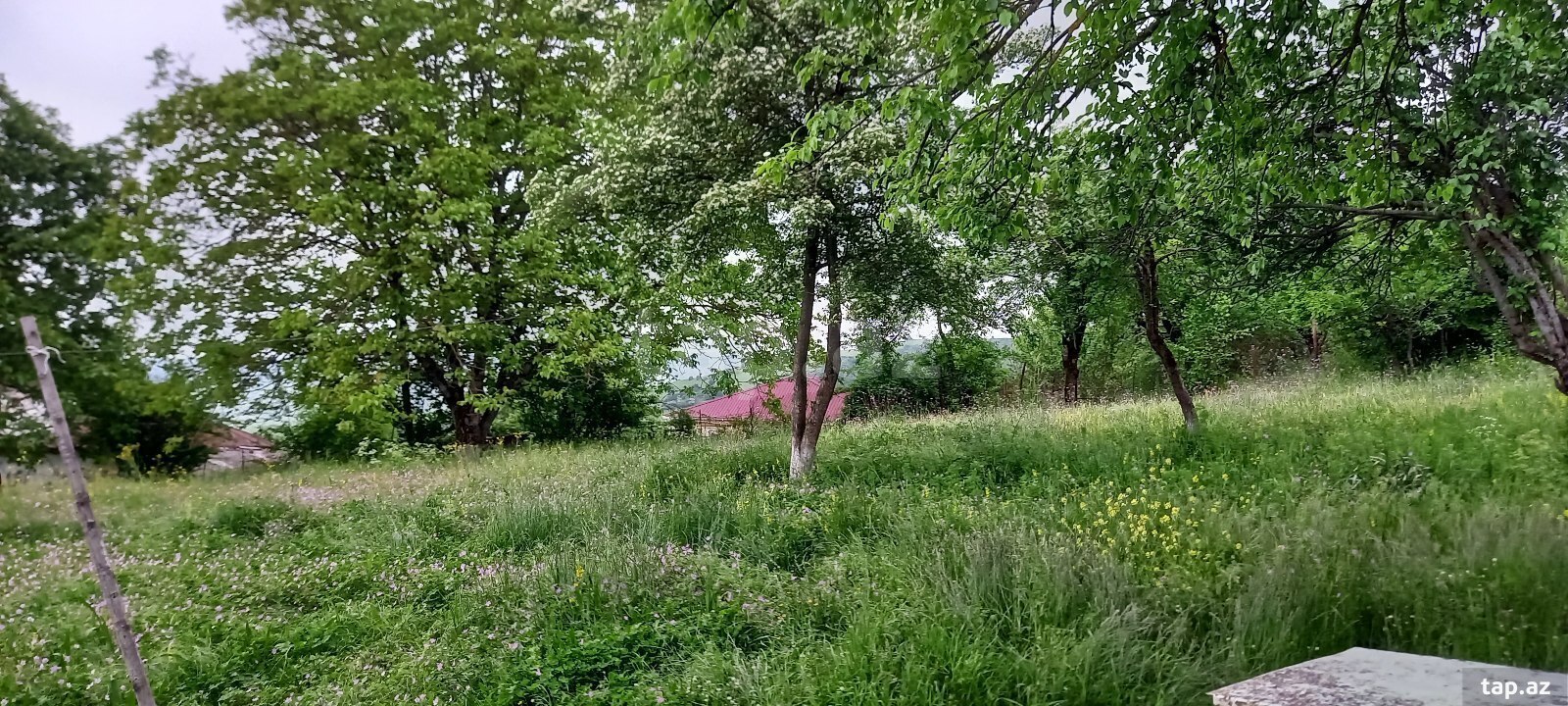 18 sot torpaq sahəsi, Lerik ş.