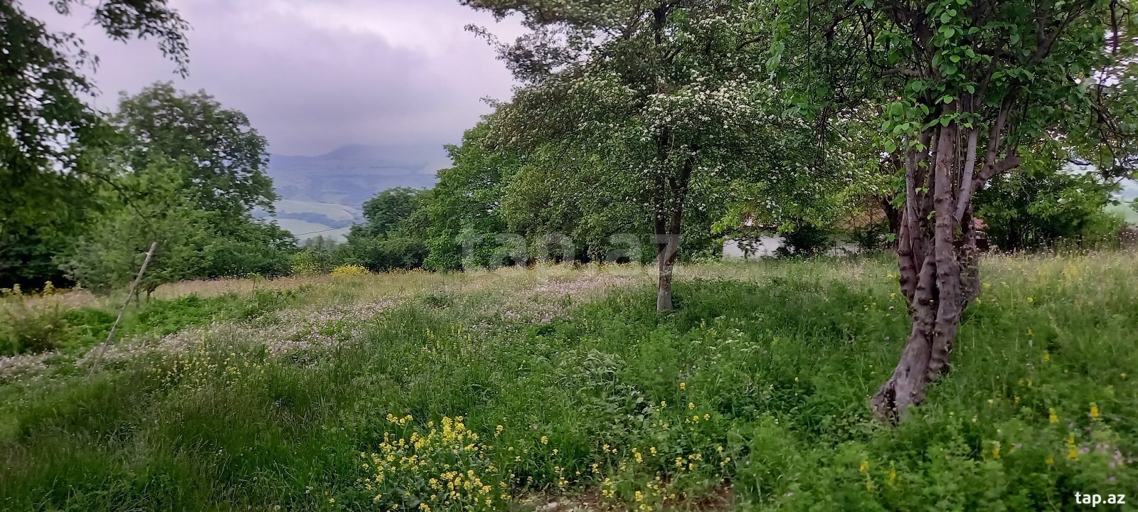 18 sot torpaq sahəsi, Lerik ş.
